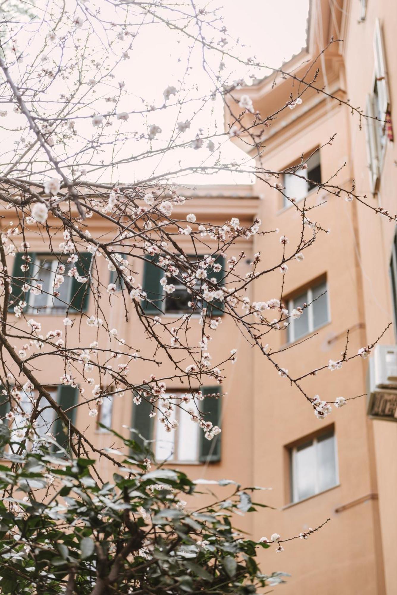 罗马Casa Riva 1920公寓 外观 照片